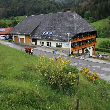 Ferienwohnung Talblick Тодтмос Екстериор снимка