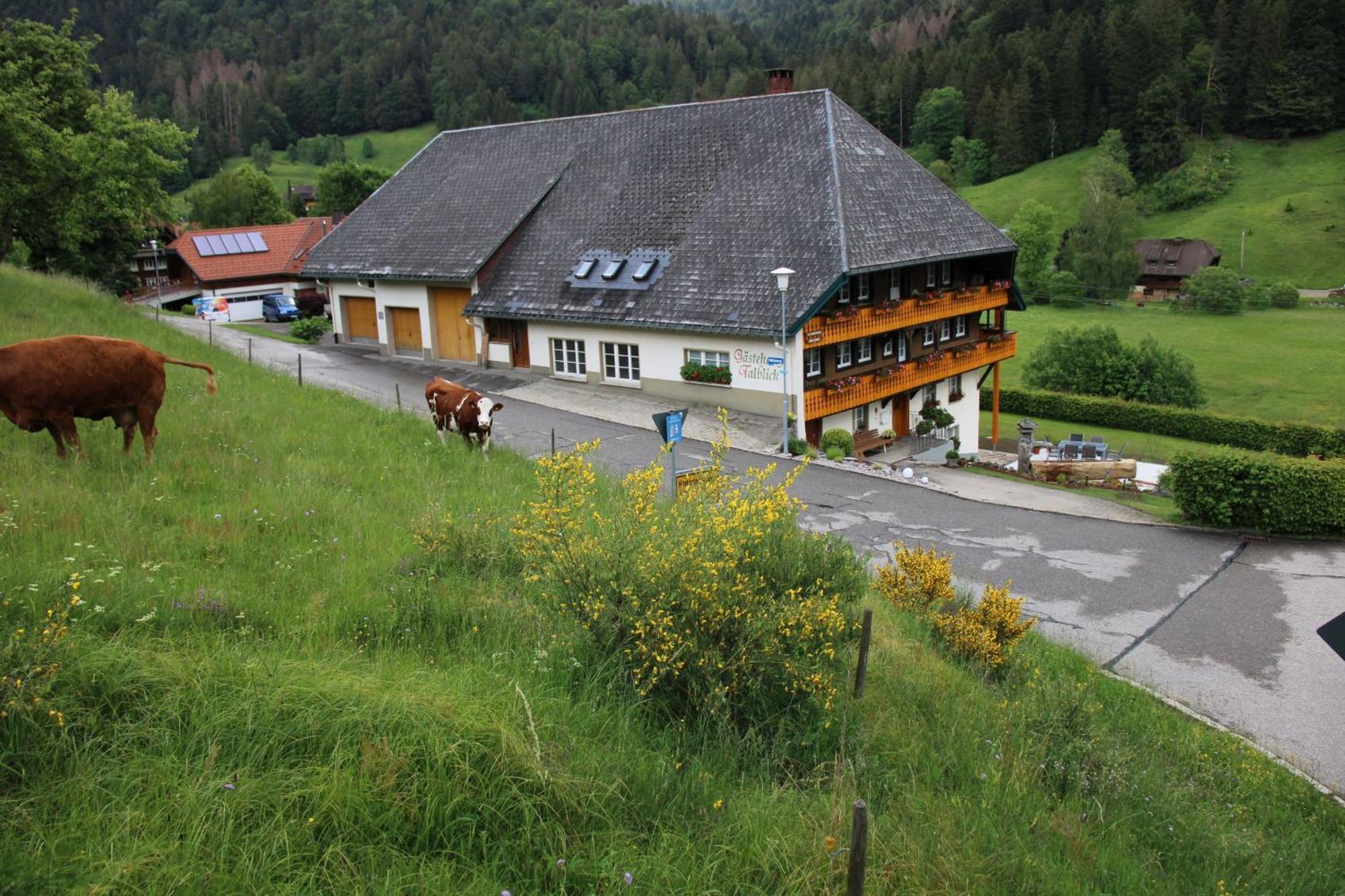 Ferienwohnung Talblick Тодтмос Екстериор снимка